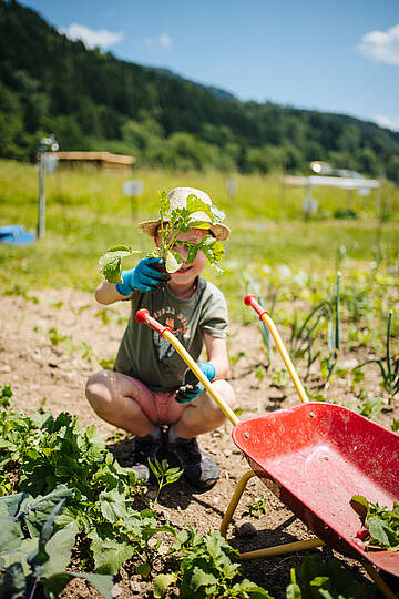 Kinder helfen bei der Arbeit mit © Martin Hofmann_Kärnten Werbung